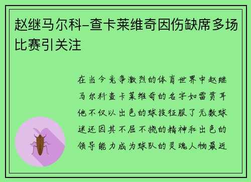 赵继马尔科-查卡莱维奇因伤缺席多场比赛引关注